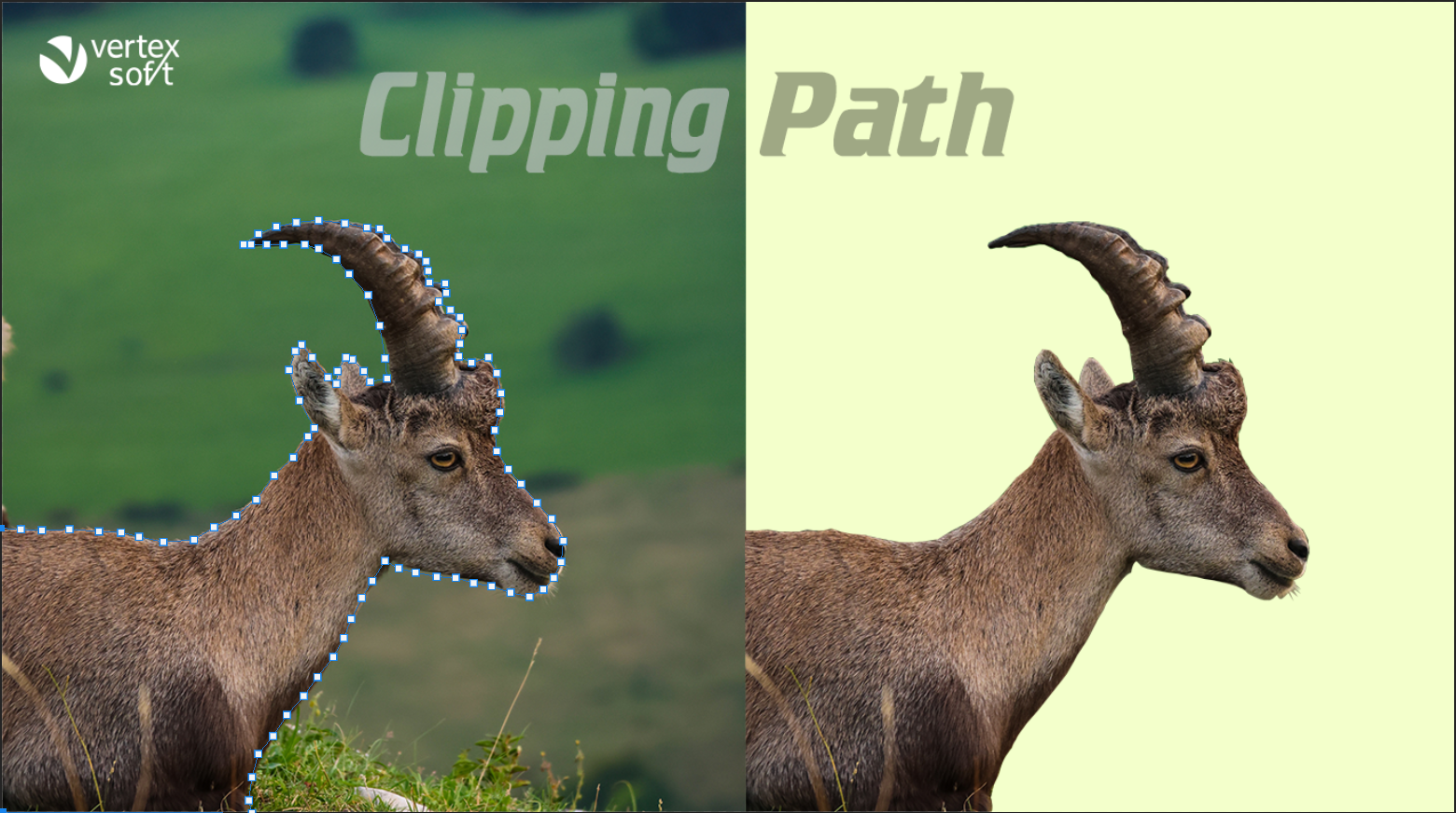 Clipping Path